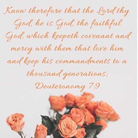 Meet your Posher, Alonna - Picture 4 of 4